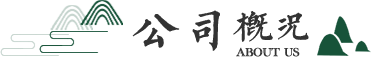 公司概况
