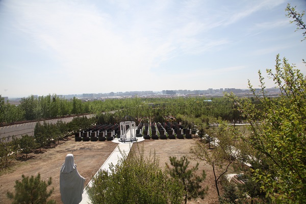 公墓地