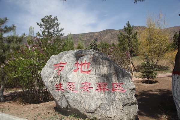 节地生态安葬区