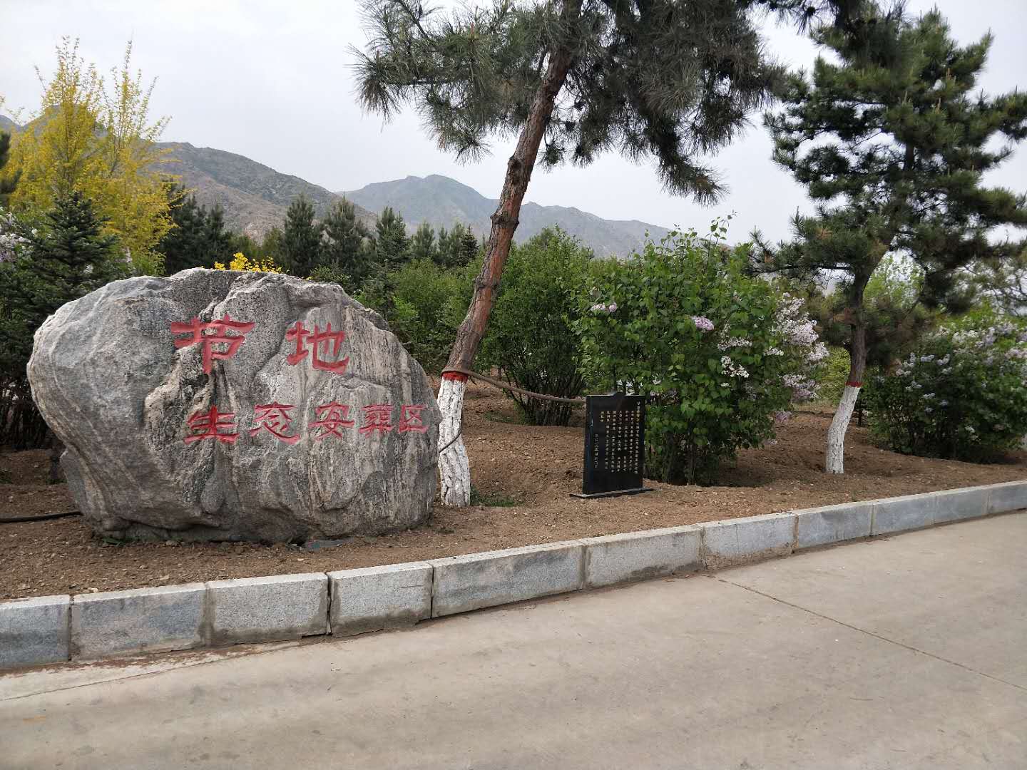 节地生态葬