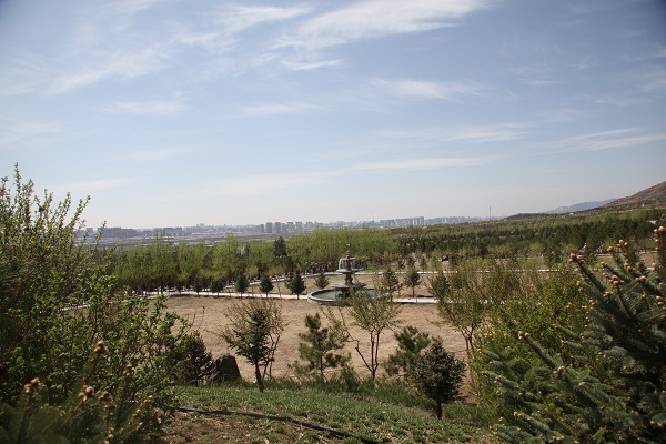 公墓地区