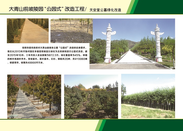 公墓绿化改造