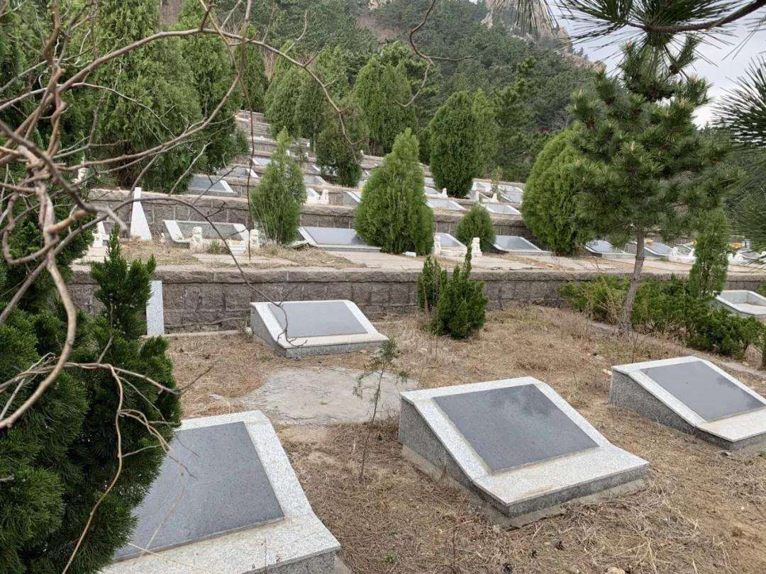 呼和浩特陵园拜墓