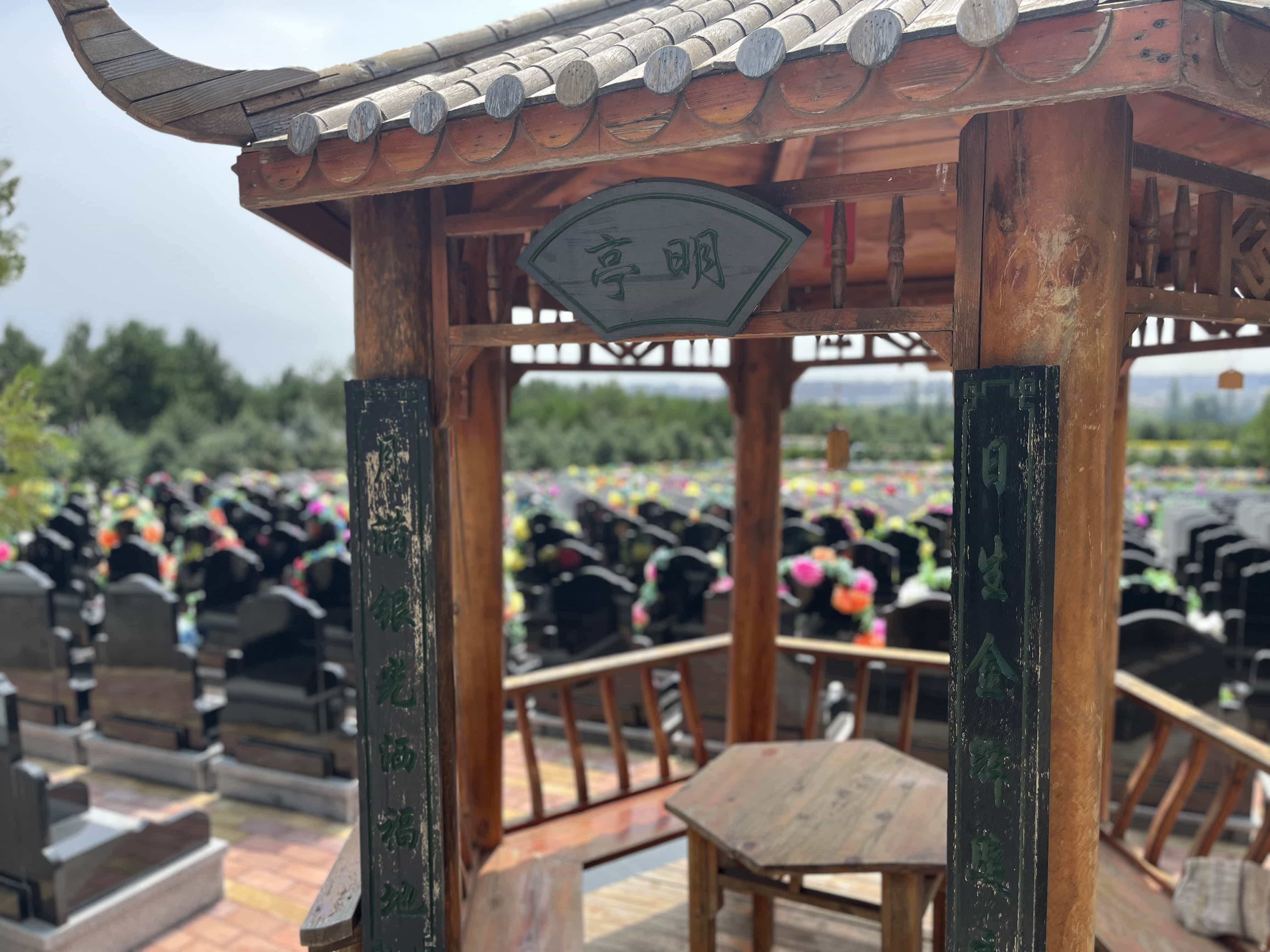 公司概况